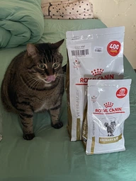 Сухой корм для котов Royal Canin Urinary S/O уринари 1.5 кг 39010151 фото от покупателей 3