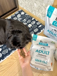 Сухий корм Brit Care Dog Grain-free Adult для собак малих та середніх порід, беззерновий з лососем, 3 кг, артикул 172197