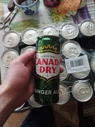 Імбирний ель б/а Canada Dry Ginger Ale 330 мл