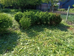 Аккумуляторная коса / тример / кусторез для травы, кустов и веток FOX Grass&Bush Expert FGBE-T21 (2 аккумулятора и 14 насадок) фото от покупателей 1
