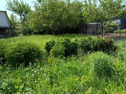 Аккумуляторная коса / тример / кусторез для травы, кустов и веток FOX Grass&Bush Expert FGBE-T21 (2 аккумулятора и 14 насадок)