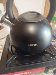 Чайник с свистком Tefal Duetto + 2.5 л (N4180410)