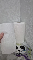 Бумажные полотенца Снежная панда ЭкстраЛонг 2 слоя 200 отрывов 2 рулона (4823019010800)