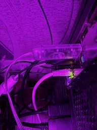 Неоновая лента 10 метров управления с телефона LED Neon Rope Light гибкая умная светодиодная подсветка USB Bluetooth IP68 (LONGITUD) фото от покупателей 1