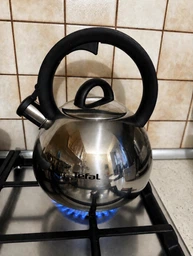 Чайник с свистком Tefal Duetto + 2.5 л (N4180310) фото от покупателей 1
