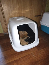 Закрытый туалет с фильтром для котов Petmax Cat Toilet Ella 57х39х38 см (3838851375063) фото от покупателей 1