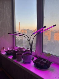 Фитолампа USB для роста растений на 4 лампы с подставкой, светодиодная LED фито лампа светильник для комнатных цветов, рассады, орхидей фото от покупателей 2