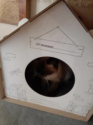 Домик для собак и кошек Lucky Pet ЭКО Домик "Уикенд" 45x45x45 см Белый (4820224213231)