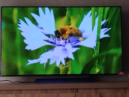 Телевизор LG OLED 65" OLED65C54LA фото от покупателей 1
