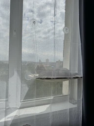 Лежанка гамак для котів віконна на присосках 54x30 см Бежевий (60119) фото від покупців 1