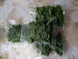 Вакууматор для еды продуктов вакууматоры для упаковки вакуумирование вакууматор бытовой домашний автоматический фото от покупателей 1