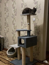 Домик когтеточка для кота дряпка для кошки Мур-Мяу "Алиса-2" 70 x 70 x 138 см в сизалевой веревке Коричнево-бежевый МТ фото от покупателей 2