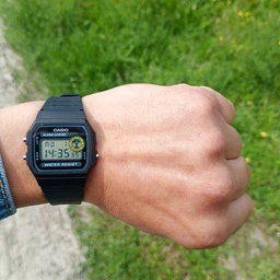 Часы Casio Timeless Collection F-94WA-8D MISC фото от покупателей 2