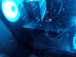 Видеокарта Asus Radeon RX 7600 Dual EVO OC 8G (DUAL-RX7600-O8G-EVO) UA [128462]