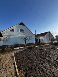 Газонная трава универсальная (смесь) 1 кг фото от покупателей 2
