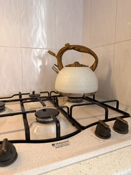 Чайник Gusto GT-1421-28 Сириус со свистком 2.8 л (BP135047) (6990001350478)