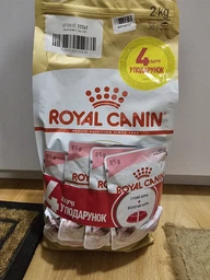 Корм сухий Royal Canin Kitten British Shorthair для кошенят 2 кг (3182550816533)
