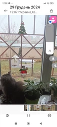 Кормушка для птиц на окно House_for_birds "Домик белый"