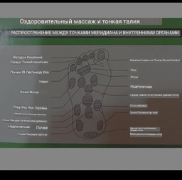 Тренажер для талии и живота напольный Waisttwisting Disc