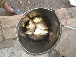 Набір для початківця рибалки BratFishing 2.1 м + Котушка Legand Kon-Tiki FD200