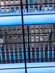 Лампа пастка від комарів електрична світильник від комах 20W BRS фото від покупців 1