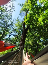 Гамак Naturehike одинарний NH21DC011, оливковий