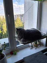 Лежанка для кота віконна VMHouse лежачок гамак для кішки спальне місце на присосках хакі (0014-0005) фото від покупців 1