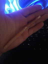 Паличка місвак - натуральна щітка для відбілювання зубів Sunnah Miswak
