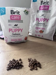 Беззерновий корм для цуценят усіх порід з лососем Brit Care Dog Grain-free Puppy 3 кг