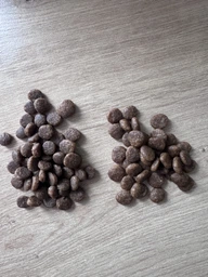 Беззерновий корм для цуценят усіх порід з лососем Brit Care Dog Grain-free Puppy 3 кг фото від покупців 1