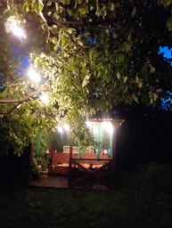 Уличная гирлянда ретро лампочки 30 м 50 LED с тёплым светом декоративная праздничная садовая для дома двора террасы альтанки кафе ресторана свадьбы вечеринок водонепроницаемая стойкая для наружного освещения чёрная IP44 с 2 запасными лампочками (101228) фото от покупателей 7