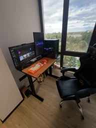 Стол с электрорегулировкой высоты 100 X 60 см Flexi Desk Black Matte 27881