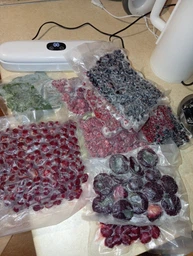 Вакуумний пакувальник для продуктів Vacuum Sealer MK-801 90 Вт вакууматор ручний побутовий зелений фото від покупців 1