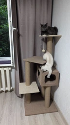 Домик когтеточка для кота дряпка для кошки Мур-Мяу Алиса-2 70 x 70 x 138 см в джутовой веревке Коричнево-Бежевый МТ фото от покупателей 1