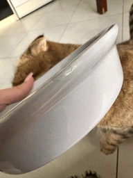 Миска Trixie для котів керамічна з принтом 0.25 л 13 см Сіра (4057589246523)