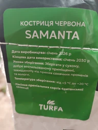 Овсяница красная сорт Samanta 1 кг