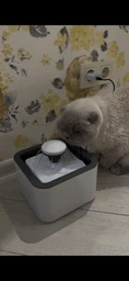 Поилка для животных Pet Water FOUNTAIN Автоматическая поилка - фонтан