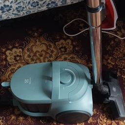 Пилосос ELECTROLUX EL31C2OG 304754 фото від покупців 9