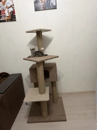 Домик когтеточка для кота дряпка для кошки Мур-Мяу Алиса-2 70 x 70 x 138 см в джутовой веревке Коричнево-Бежевый МТ