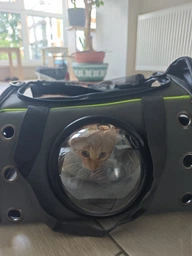 Сумка переноска для кота кошки собаки домашних животных до 8 кг с окошком иллюминатором и ремешком на плечо кошачьи сумки для переноски котов кошек маленьких собак котенка серая (002166) фото от покупателей 2