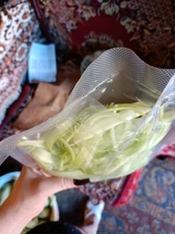 Вакууматор побутовий для продуктів їжі Vacuum Sealer 120W вакууманий пакувальник автоматичний + 10 пакетів фото від покупців 2