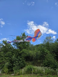 Яскравий повітряний змій Фенікс Fortune Kite 144х215 см (1518)