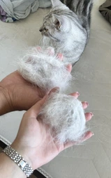 Фурмінатор для вичісування підшерстя тварин Pet Knot Comb скорочує линяння Жовтий (8901U)
