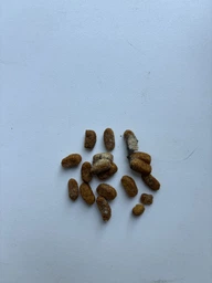 Сухий корм для стерилізованих кішок Purina Pro Plan Sterilised Senior 7+ з індичкою 1.5 кг (7613034989673) фото від покупців 2