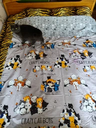 Пододеяльник Бязь Crazy Cat 200*220 см Серый фото от покупателей 1