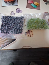 Вакууматор для продуктов и еды 120 Вт со встроенным резаком и сенсорным управлением бытовой вакуумный упаковщик электрический автоматический домашний + 10 пакетов в подарок