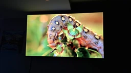Телевизор Haier S80FUX 43" QLED 4K (H43S80FUX) [168329]