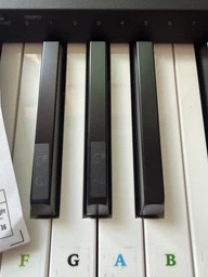 Наклейки - подсказки для фортепиано Piano Stickers стикеры на белые и черные клавиши пианино / синтезатора (для 37-88 клавиш), разноцветный (102832477)