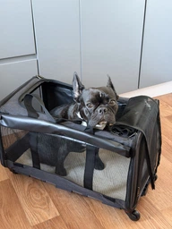 Сумка для перенесення Bestopet (Люпосанчик) Folding Pet Trolley Bag для котів і собак BS-SS-041, Black фото від покупців 2