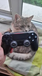 Джойстик бездротовий для телефона пк геймпад ігровий ps4 ps5 xbox блютуз для смартфона планшета ноутбука контроллер для iOS Android універсальний з USB кабель BS-350 OnePro 74043 фото від покупців 11